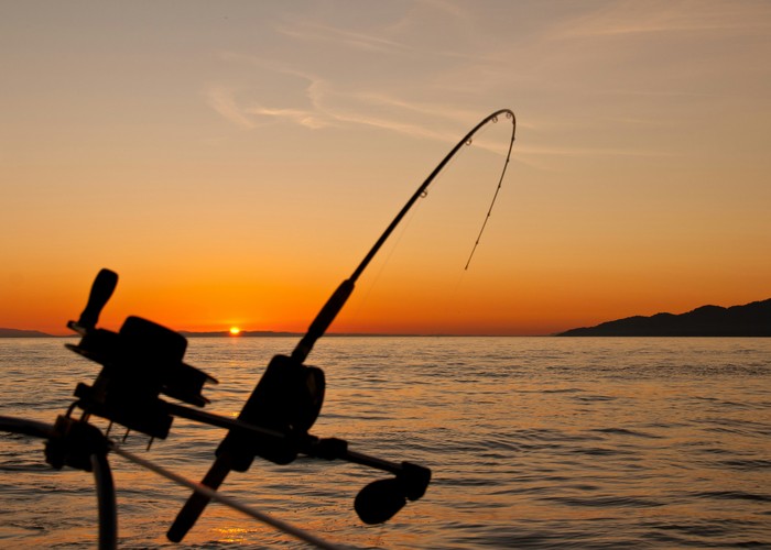Ilustrasi Mancing di Laut