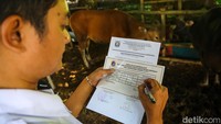 Pemeriksaan dokumen dilakukan untuk memastikan setiap hewan memiliki SKKH sebelum dinyatakan layak jual.