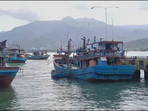 Harga BBM Nonsubsidi Melejit, Nelayan Besar Menjerit