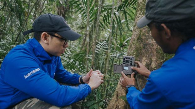 Macan Tutul Terekam Kamera di TNBTS