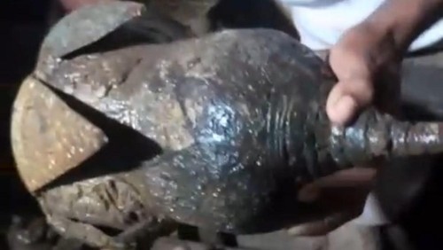 Barang antik yang ditemukan warga di Pantai Konga, Kecamatan Titehena, Senin malam (4/5/2026).