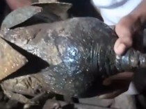 Lagi Asyik Mancing di Pantai Konga, Warga Flores Temukan Benda-benda Kuno