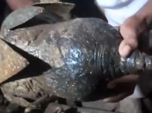 Penemu Benda Kuno di Pantai Konga Berpeluang Jadi Juru Pelihara Cagar Budaya