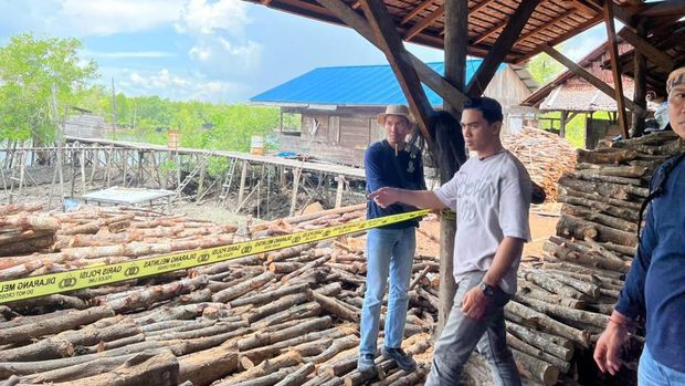 Polda Riau membongkar aktivitas perusakan hutan mangrove yang dijadikan arang di Kepulauan Meranti.
