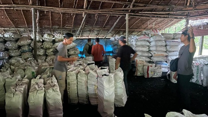 Polda Riau membongkar aktivitas perusakan hutan mangrove yang dijadikan arang di Kepulauan Meranti.