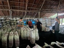 Hutan Mangrove di Riau Dirusak dan Dijadikan Arang, 2 Pelaku Ditangkap