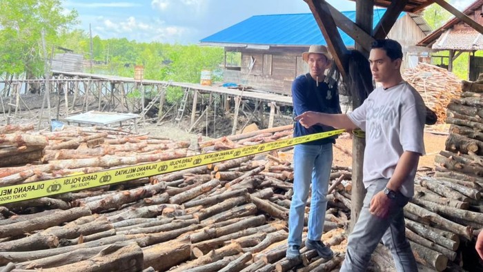 Perusakan Mangrove di Meranti, Pemilik Dapur Arang-Nakhoda Kapal Ditangkap