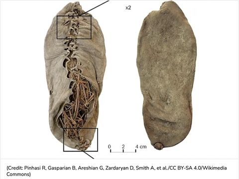Sepatu Areni - 1 Sepatu Areni - 1