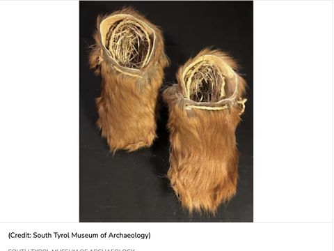 Sepatu Otzi Sepatu Otzi