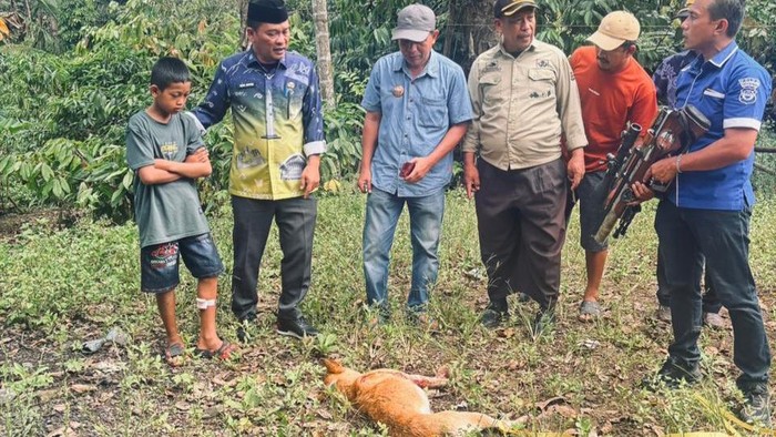 Seekor anjing liar menyerang enam warga di Camba, Maros, dilumpuhkan dengan cara ditembak.