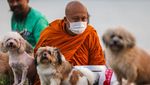 Biksu dan Anjing Kuil Susuri Sungai Chao Phraya