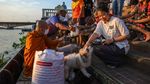 Biksu dan Anjing Kuil Susuri Sungai Chao Phraya