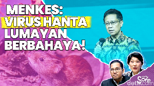 Video: Mengenal Virus Hanta, Patogen yang Menggemparkan Dunia