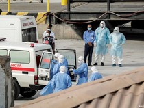 Puluhan Kasus Hantavirus Tercatat di Indonesia, Terbanyak di Pulau Jawa