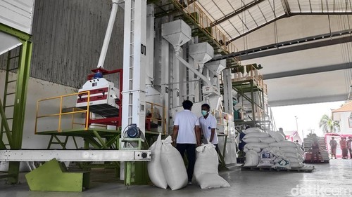 Ilustrasi - Produksi beras di rice milling unit (RMU) Perumda Pasar Badung. (Foto: Agus Eka/detikBali)