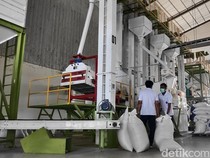 Badung Surplus Beras 3.000 Ton, Cabai-Telur Masih Minus