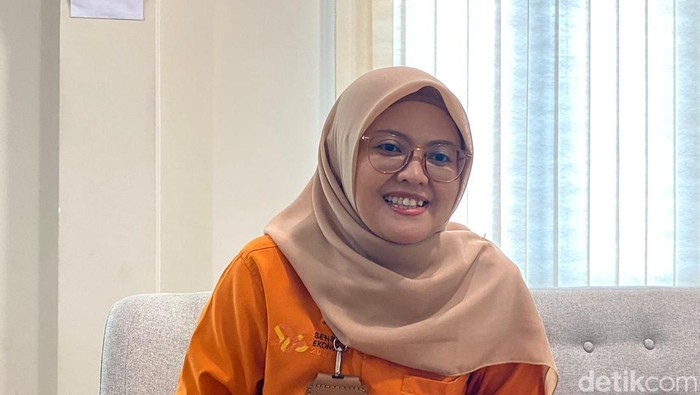 Kepala BPS Parepare Dian Ernawaty. Ardiansyah/detiksulsel