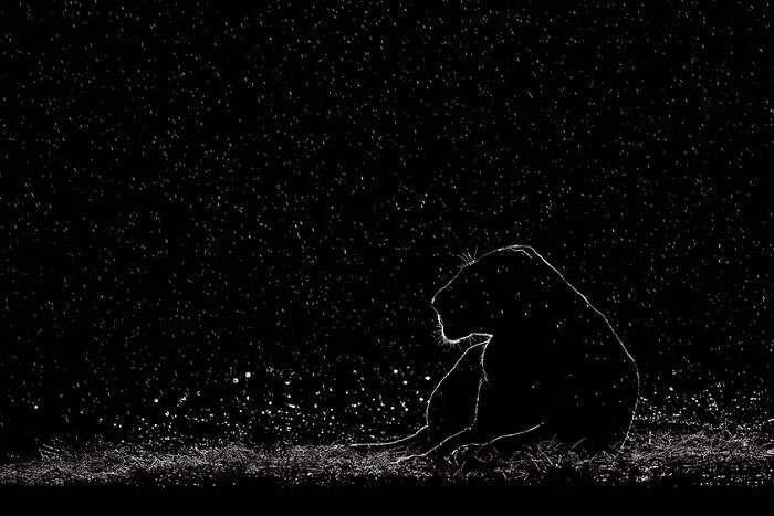 Deretan Karya Jawara Kontes Foto Hitam Putih yang Bikin Takjub