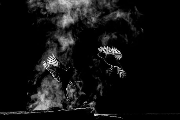 Deretan Karya Jawara Kontes Foto Hitam Putih yang Bikin Takjub
