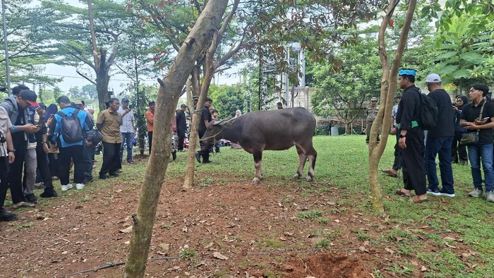 Lebaran Depok 2026