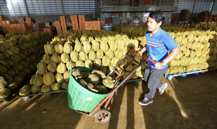 Pasokan durian di Thailand