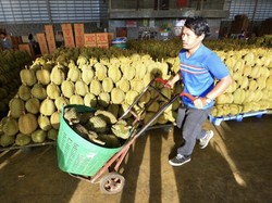 Thailand Pakai AI untuk Jaga Kualitas Durian Terbaik, Indonesia Kapan?