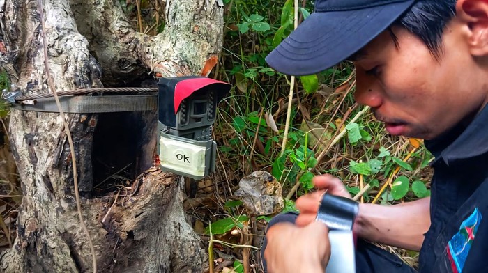 Pemasangan Camera Trap di kawasan Cikepuh - Cibanteng