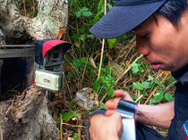 Intip Cara Kerja 80 Mata-Mata Macan Tutul di Sukabumi