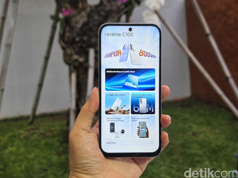 Realme C100 Series