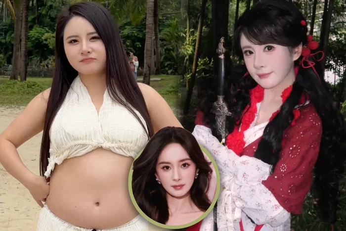 @taozichibubao