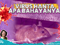Bentengi Indonesia dari Virus Hanta