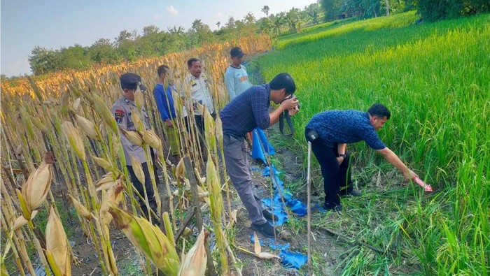 TKP lansia tersengat listrik di Dusun Tumpuk, Desa Kalanglundo, Kecamatan Ngaringan, Kabupaten Grobogan, Kamis (7/5/2026).