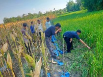 Petani di Grobogan Tewas Usai Kesetrum Jebakan Tikus yang Dipasangnya Sendiri