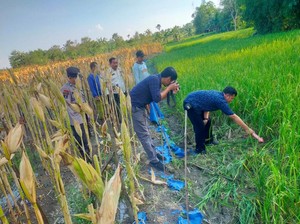 Petani di Grobogan Tewas Usai Kesetrum Jebakan Tikus yang Dipasangnya Sendiri