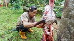 Tradisi Motong Kerbau Warnai Lebaran Depok 2026