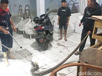 Hiiii! Piton Sepanjang 3 Meter Masuk Pabrik Mebel Pasuruan Bikin Panik
