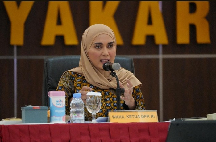 Wakil Ketua DPR RI, Sari Yuliati