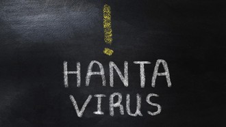 1 Kasus Hantavirus Terdeteksi di Jawa Timur