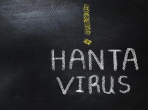 Video: IDAI Sebut Andes Hantavirus Belum Ditemukan di Indonesia