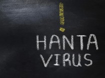 Belajar dari COVID: Jangan Menunggu Hantavirus Meledak