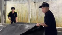 Irfan Hakim mempersiapkan alas untuk sapi milik Maia Estianty di kandang. Foto: Instagram Story @irfanhakim75