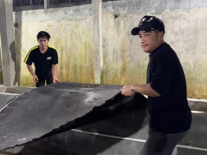 Satu sapi kurban milik Maia Estianty.