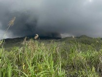 Mencekam Detik-detik Erupsi Gunung Dukono Tewaskan Pendaki