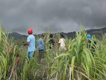 14 Pendaki Selamat dari Erupsi Gunung Dukono, 7 WNI dan 7 WNA