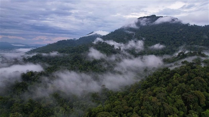 Rangkaian Pegunungan Muller yang di dalamnya terdapat Gunung Liangpran. Foto: WWF-Indonesia