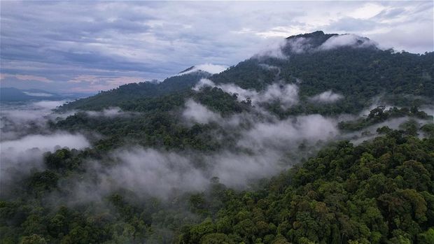 Rangkaian Pegunungan Muller yang di dalamnya terdapat Gunung Liangpran. Foto: WWF-Indonesia Rangkaian Pegunungan Muller yang di dalamnya terdapat Gunung Liangpran. Foto: WWF-Indonesia