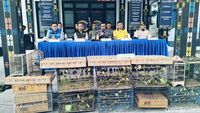 TNI AL Gagalkan Penyelundupan 1.000 Burung Kicau di Labuan Bajo