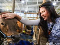 Cermati Jenis dan Syarat Sah Hewan Kurban, Cek Sebelum Beli!