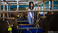 Melalui konsep pelayanan yang unik, pengelola berharap masyarakat dapat memperoleh pengalaman berbelanja hewan kurban yang lebih nyaman dan berkesan.