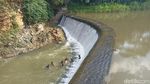 Tradisi Tahunan Dam Bagong Jadi Magnet Wisata di Trenggalek